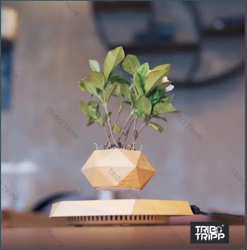 O "Vaso Magnético Bonsai Harmonia Zen" é mais do que apenas um recipiente para plantas; é um objeto de decoração que evoca serenidade, equilíbrio e contemplação, tornando-o uma adição encantadora a qualquer espaço interior.